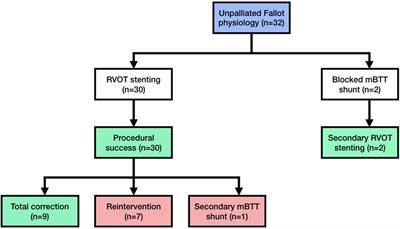 Right ventricular outflow tract stenting for late presenter unrepaired Fallot physiology: a single-center experience
